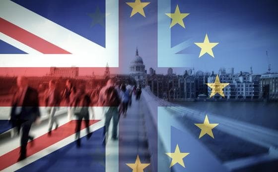 Infographic Food law amp Brexit areas of impact